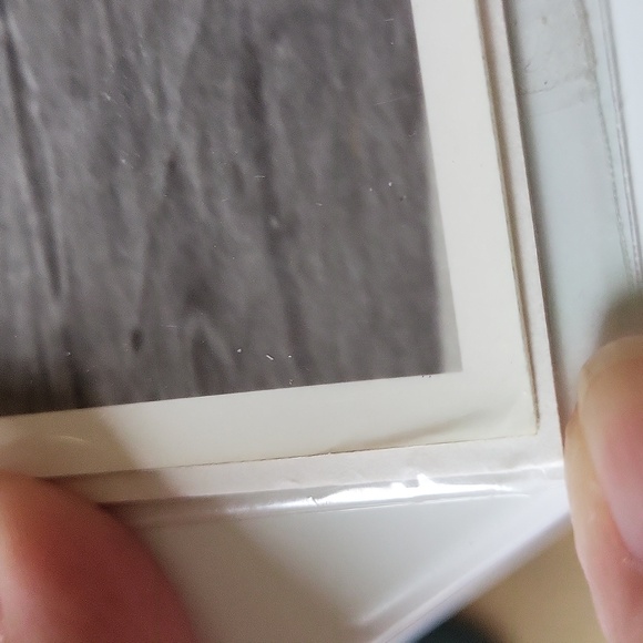 Vintage Black and White Photograph Clyde Beatty Circus 1973 Canine Circus Act - Picture 11 of 16